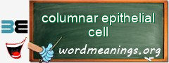 WordMeaning blackboard for columnar epithelial cell